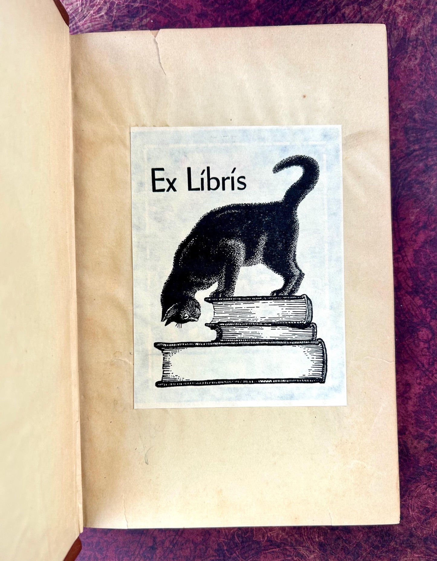 Poems of Edgar Allan Poe, 1882, Arlington Edition, Published by Hurst & Co, publishers.