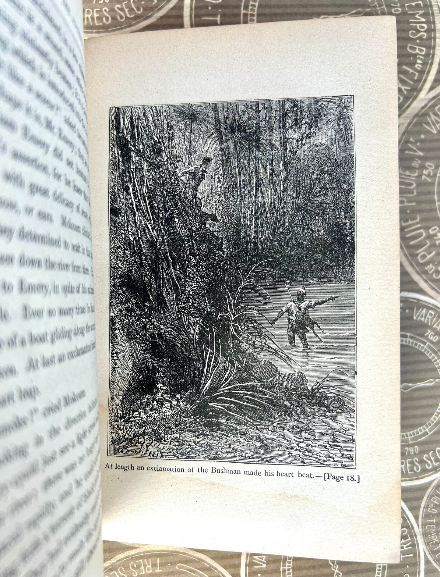 Meridiana or Adventures in South Africa by Jules Verne, Illustrated, 1874, 1st Edition, Published by Scribner Armstrong