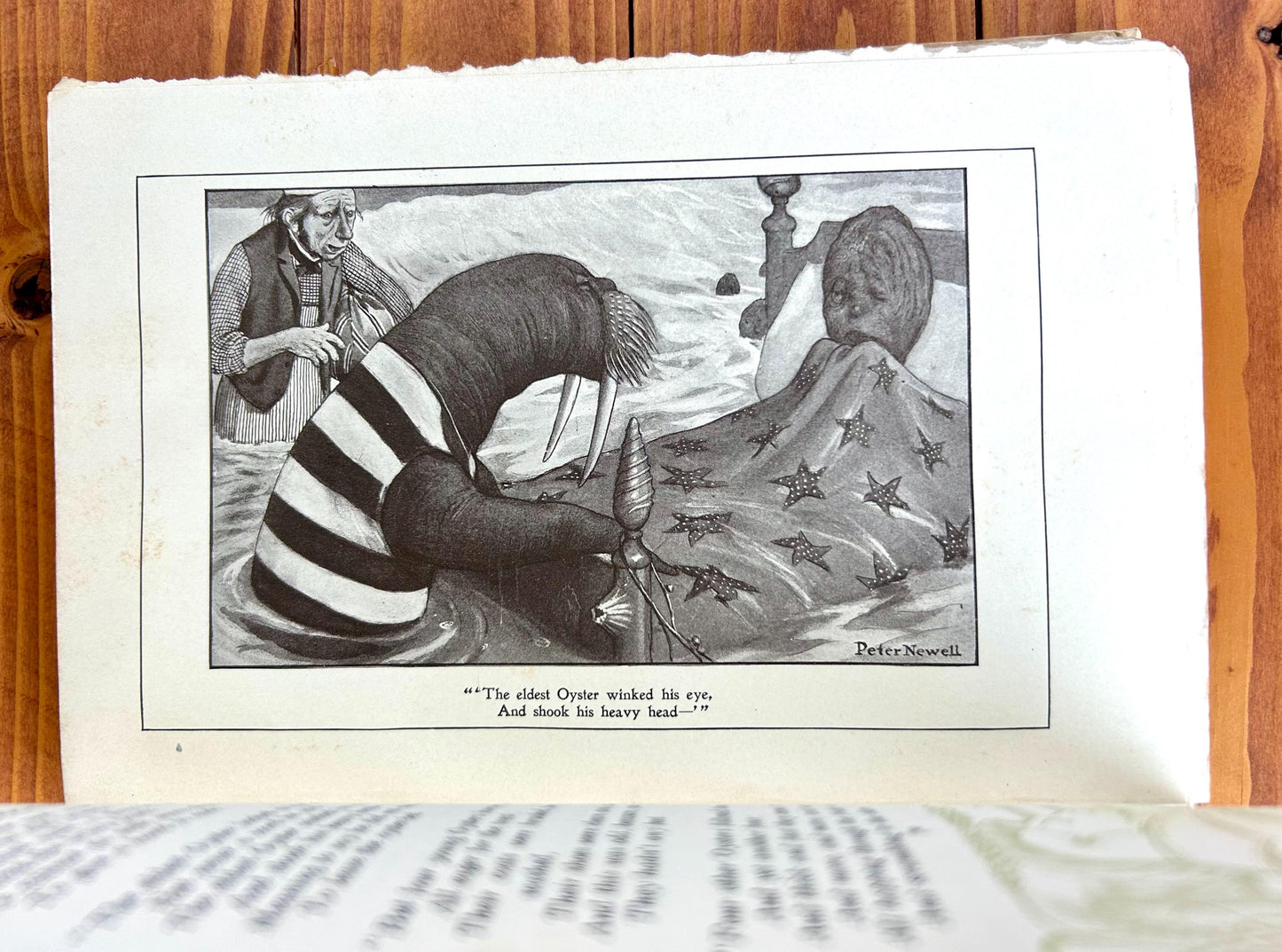 Through The Looking Glass by Lewis Carroll, Illustrated, 1902, Published by Harper & Brothers.