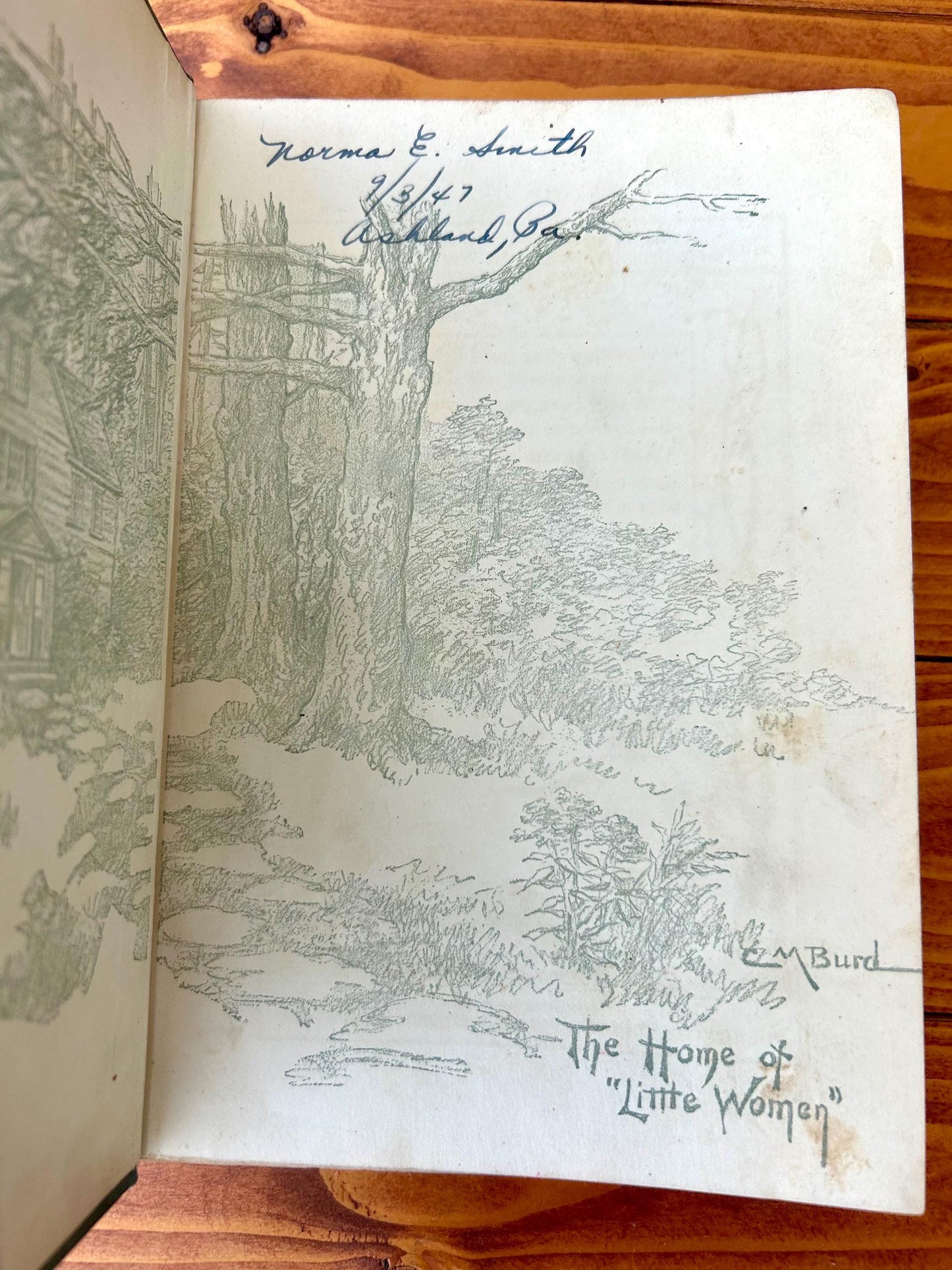 Little Women (1926) by Louisa May Alcott – Illustrated by Clara M. Burd, John C. Winston Company